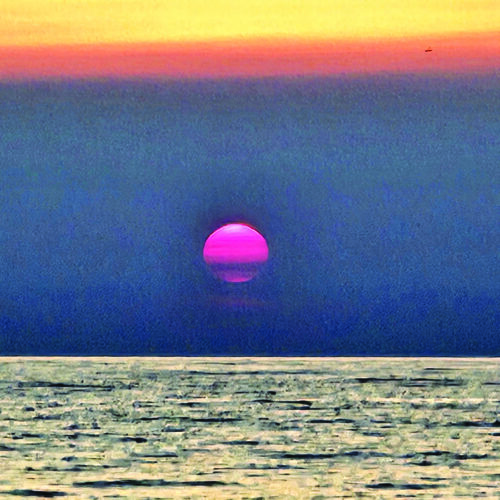 Sailor's delight